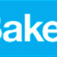 Baker_logo (Custom) (2)