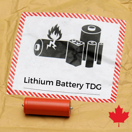 Lithium Battery TDG